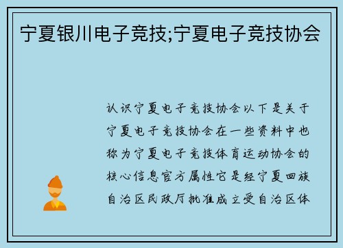 宁夏银川电子竞技;宁夏电子竞技协会
